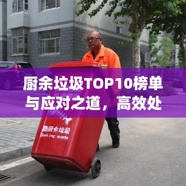 廚余垃圾TOP10榜單與應(yīng)對(duì)之道，高效處理策略揭秘