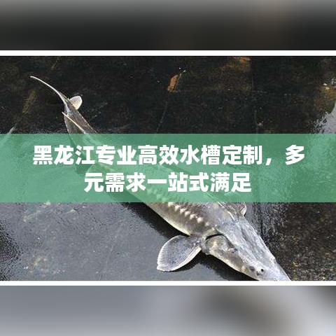 黑龍江專業(yè)高效水槽定制，多元需求一站式滿足