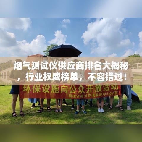 煙氣測試儀供應商排名大揭秘，行業(yè)權(quán)威榜單，不容錯過！