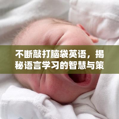 不斷敲打腦袋英語，揭秘語言學(xué)習(xí)的智慧與策略