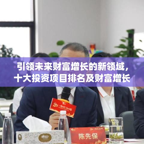 引領(lǐng)未來(lái)財(cái)富增長(zhǎng)的新領(lǐng)域，十大投資項(xiàng)目排名及財(cái)富增長(zhǎng)機(jī)會(huì)分析