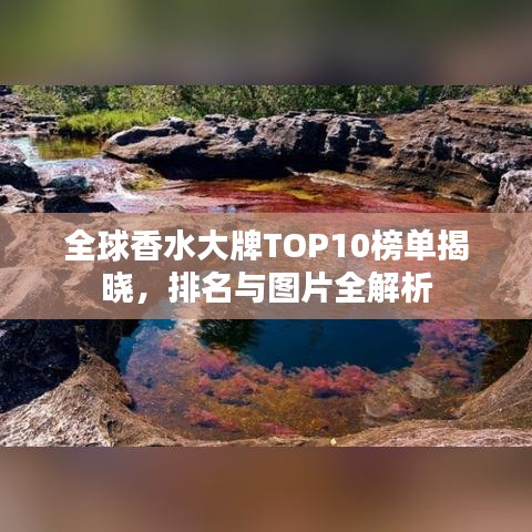 全球香水大牌TOP10榜單揭曉，排名與圖片全解析