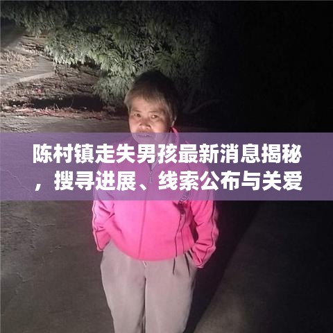 陳村鎮(zhèn)走失男孩最新消息揭秘，搜尋進(jìn)展、線索公布與關(guān)愛(ài)行動(dòng)啟動(dòng)