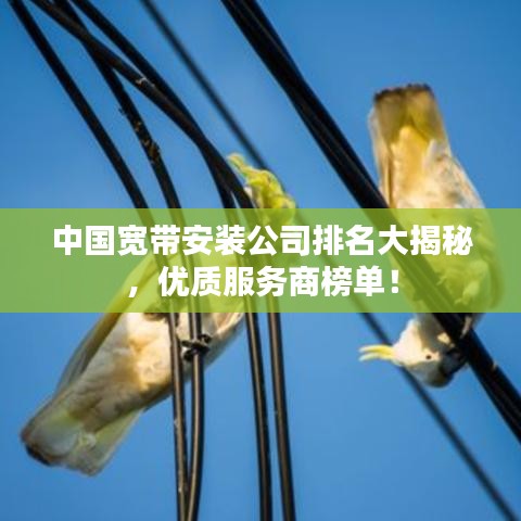 中國寬帶安裝公司排名大揭秘，優(yōu)質(zhì)服務(wù)商榜單！