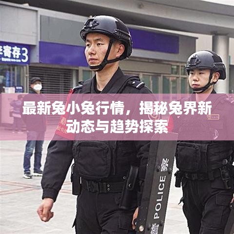 最新兔小兔行情，揭秘兔界新動(dòng)態(tài)與趨勢(shì)探索