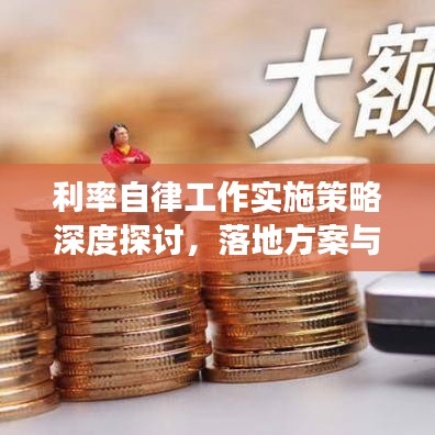 利率自律工作實(shí)施策略深度探討，落地方案與效果展望