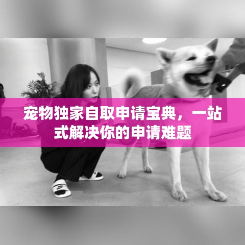 寵物獨家自取申請寶典，一站式解決你的申請難題