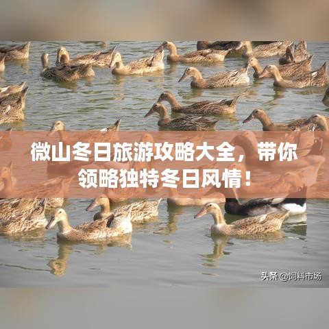 微山冬日旅游攻略大全，帶你領略獨特冬日風情！