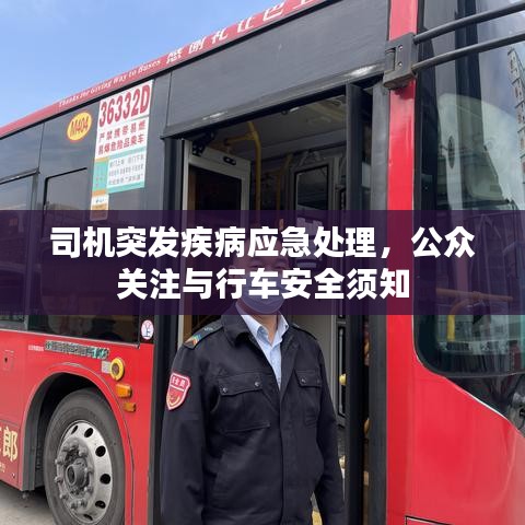 司機(jī)突發(fā)疾病應(yīng)急處理，公眾關(guān)注與行車安全須知