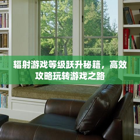 輻射游戲等級(jí)躍升秘籍，高效攻略玩轉(zhuǎn)游戲之路