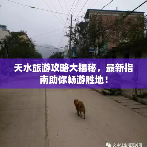 天水旅游攻略大揭秘，最新指南助你暢游勝地！