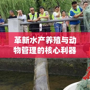 風(fēng)馳電掣 第2頁