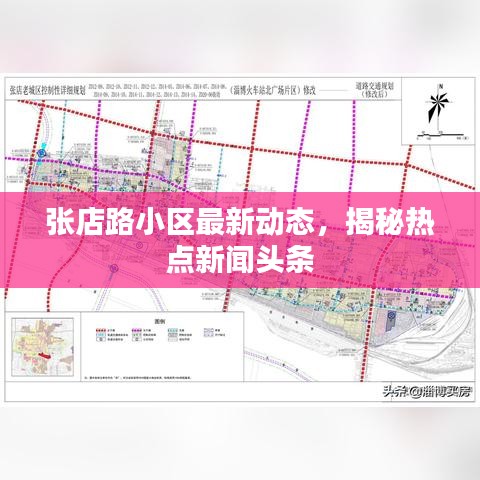 張店路小區(qū)最新動態(tài)，揭秘?zé)狳c新聞頭條