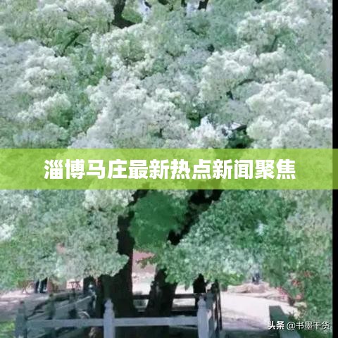 淄博馬莊最新熱點(diǎn)新聞聚焦