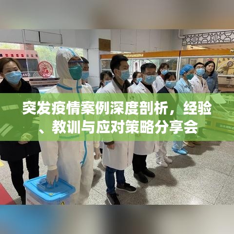 突發(fā)疫情案例深度剖析，經(jīng)驗(yàn)、教訓(xùn)與應(yīng)對(duì)策略分享會(huì)