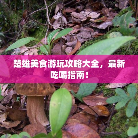 楚雄美食游玩攻略大全，最新吃喝指南！