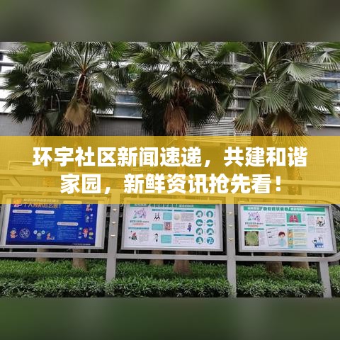 環(huán)宇社區(qū)新聞速遞，共建和諧家園，新鮮資訊搶先看！