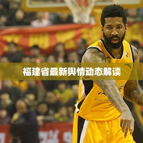 福建省最新輿情動態(tài)解讀