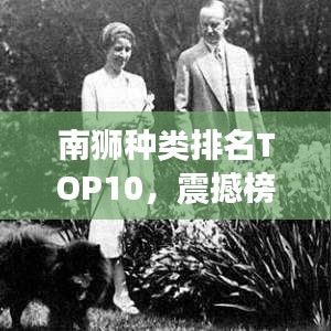 飛奇鉤貨 第2頁