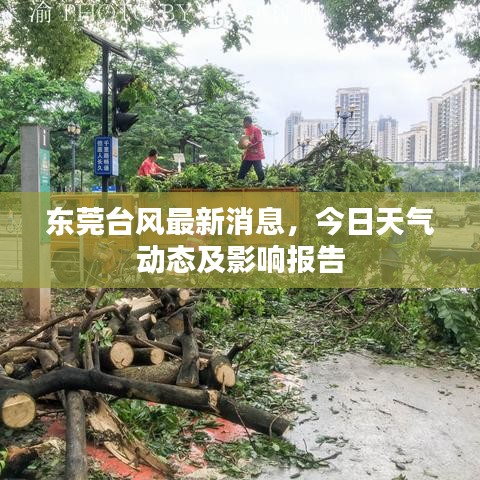 東莞臺(tái)風(fēng)最新消息，今日天氣動(dòng)態(tài)及影響報(bào)告
