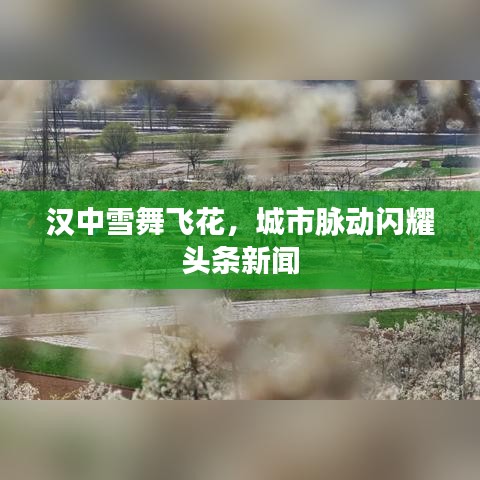 只爭朝夕 第2頁