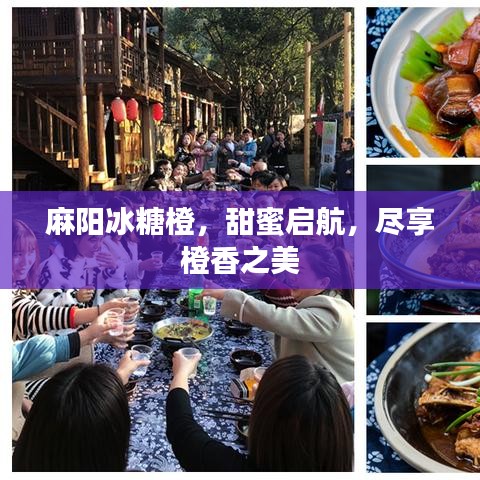 麻陽(yáng)冰糖橙，甜蜜啟航，盡享橙香之美