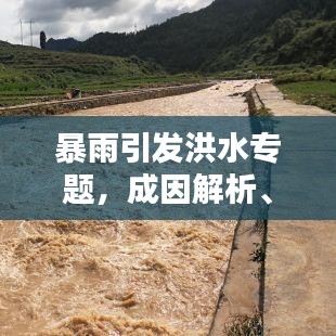 暴雨引發(fā)洪水專題，成因解析、影響評估與應(yīng)對策略