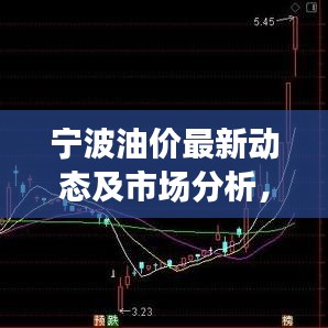 寧波油價(jià)最新動(dòng)態(tài)及市場(chǎng)分析，今日關(guān)注焦點(diǎn)