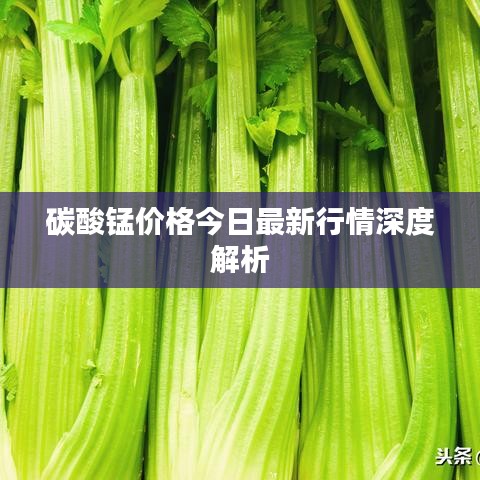 碳酸錳價(jià)格今日最新行情深度解析
