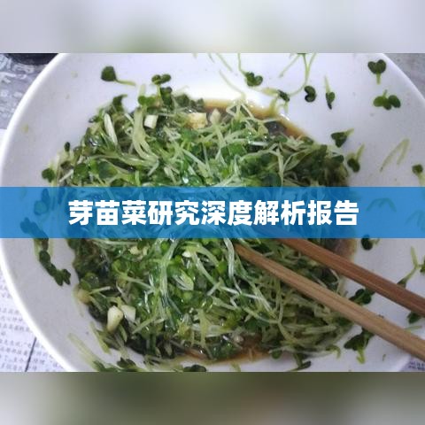 芽苗菜研究深度解析報(bào)告