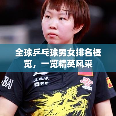 全球乒乓球男女排名概覽，一覽精英風采