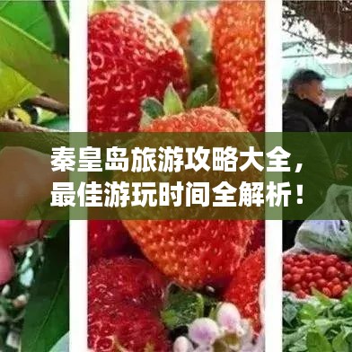 秦皇島旅游攻略大全，最佳游玩時(shí)間全解析！