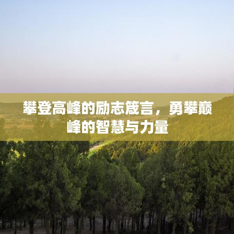 攀登高峰的勵(lì)志箴言，勇攀巔峰的智慧與力量
