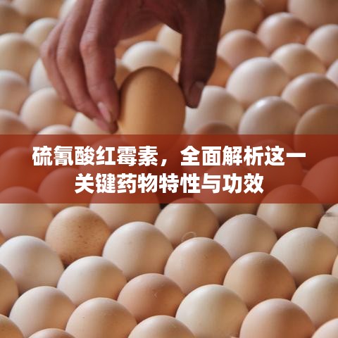 硫氰酸紅霉素，全面解析這一關(guān)鍵藥物特性與功效