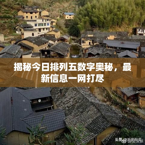 揭秘今日排列五數(shù)字奧秘，最新信息一網(wǎng)打盡