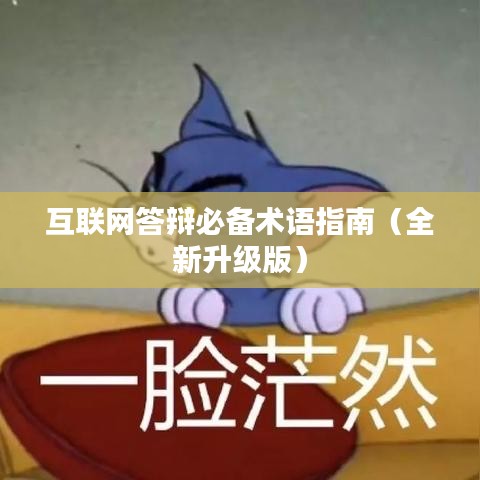 互聯(lián)網(wǎng)答辯必備術(shù)語指南（全新升級(jí)版）