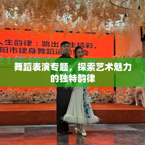 舞蹈表演專題，探索藝術(shù)魅力的獨特韻律