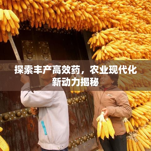 志在四方 第2頁