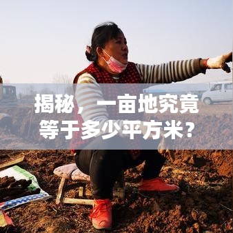 揭秘，一畝地究竟等于多少平方米？土地面積轉(zhuǎn)換全解析！