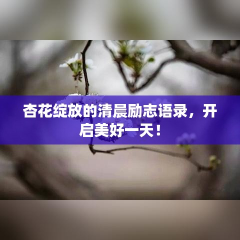 杏花綻放的清晨勵志語錄，開啟美好一天！