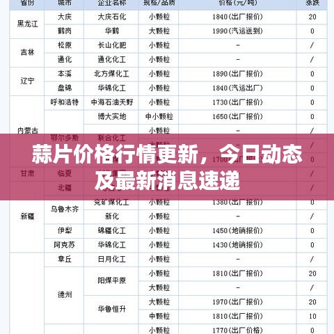 蒜片價格行情更新，今日動態(tài)及最新消息速遞
