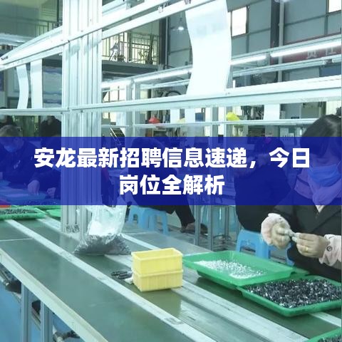 安龍最新招聘信息速遞，今日崗位全解析