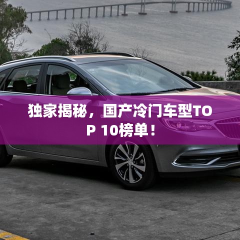 獨(dú)家揭秘，國(guó)產(chǎn)冷門車型TOP 10榜單！