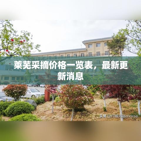 萊蕪采摘價格一覽表，最新更新消息