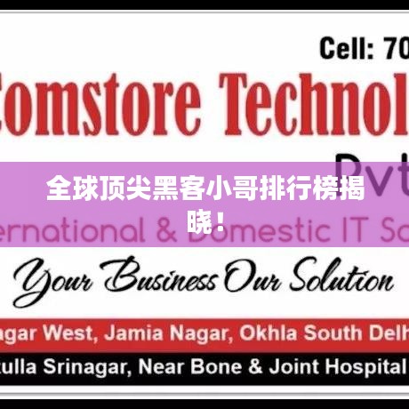 全球頂尖黑客小哥排行榜揭曉！