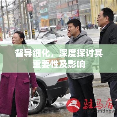 督導(dǎo)細(xì)化，深度探討其重要性及影響