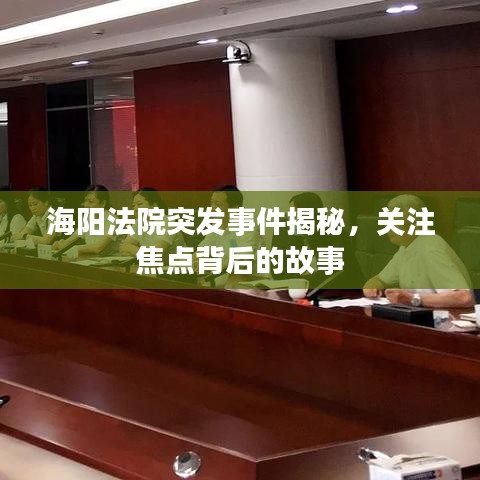 海陽(yáng)法院突發(fā)事件揭秘，關(guān)注焦點(diǎn)背后的故事