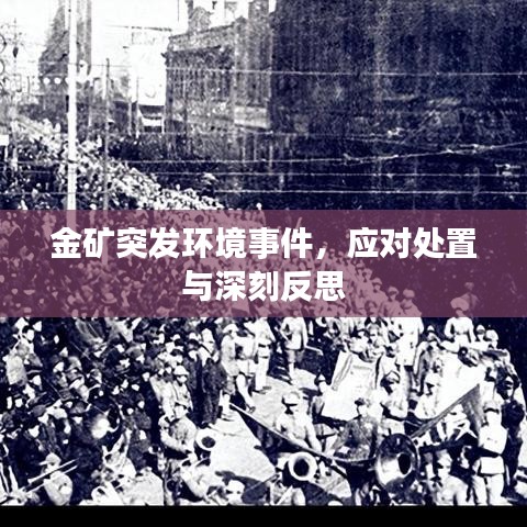 金礦突發(fā)環(huán)境事件，應對處置與深刻反思