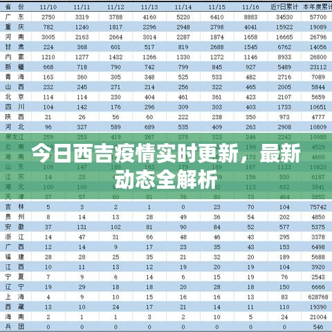 今日西吉疫情實時更新，最新動態(tài)全解析