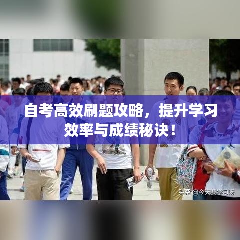 自考高效刷題攻略，提升學習效率與成績秘訣！